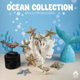 ocean-collection
