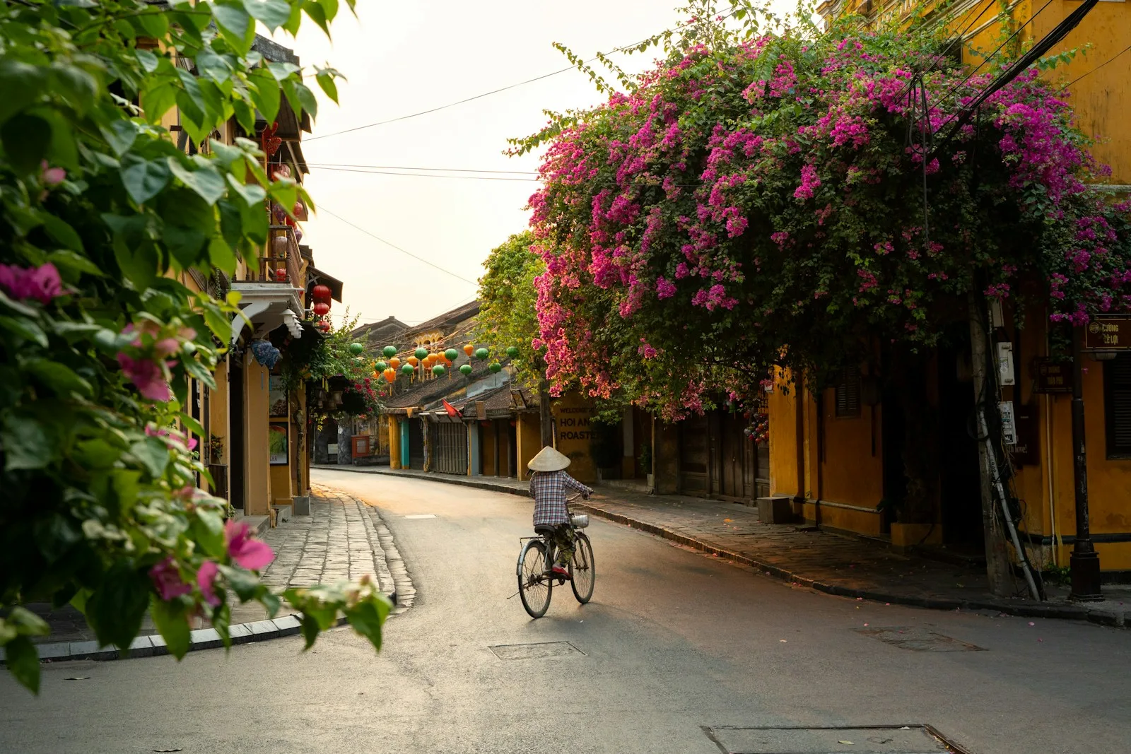 Person cycles down a street lined with flowers